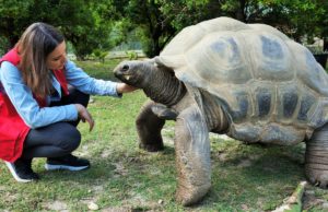 soigneur animalier achat